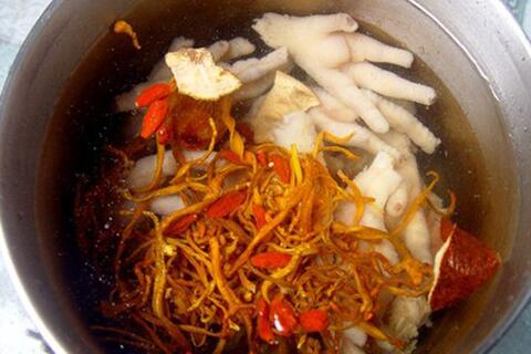 Các món ăn từ Đông Trùng Hạ Thảo