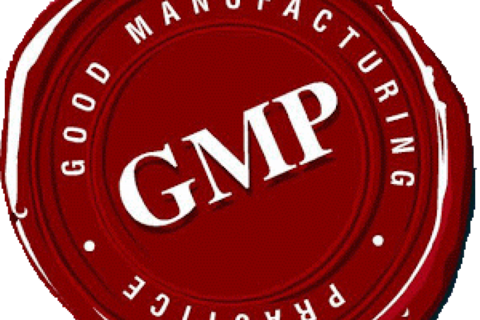 GMP là gì?